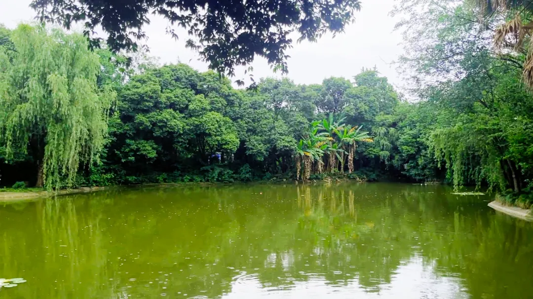 image009.png