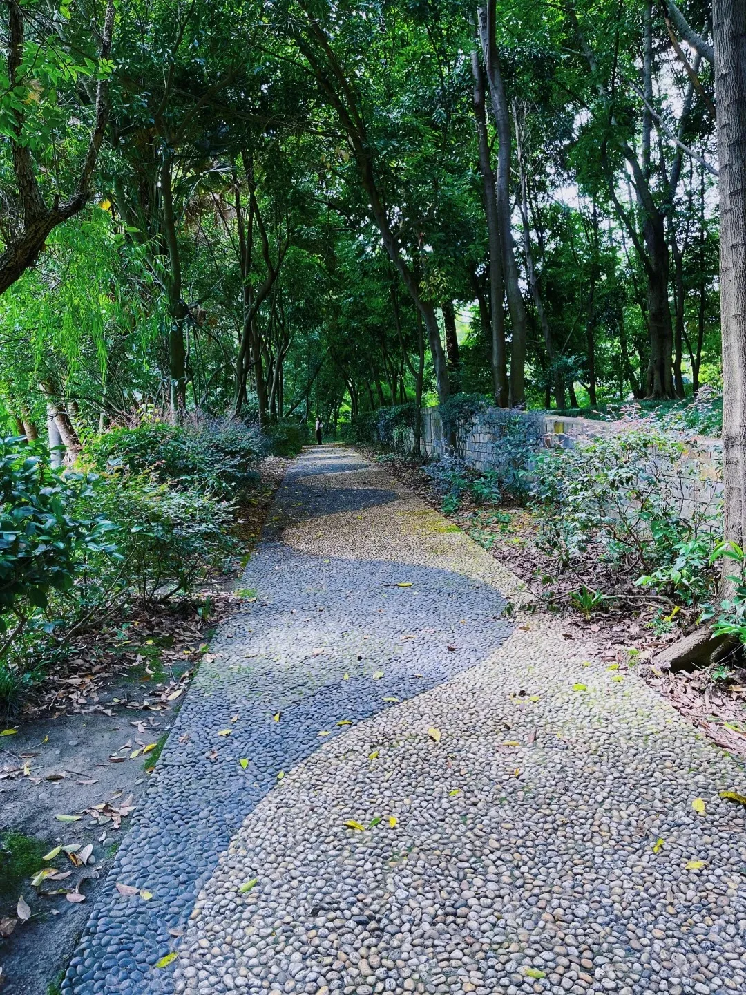 image010.png