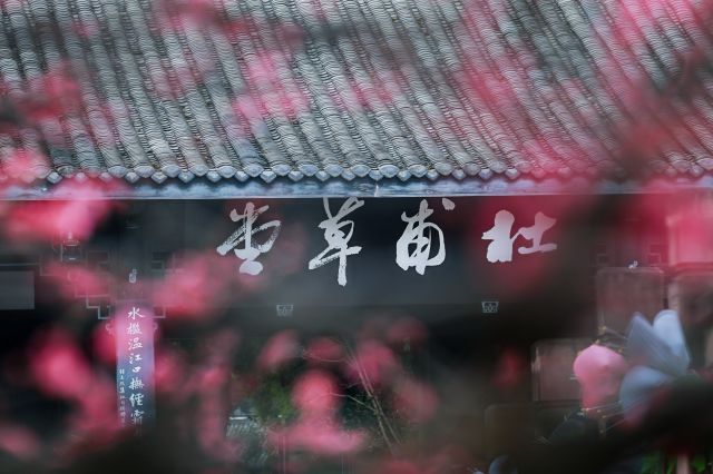 杜甫草堂早春梅景1.jpg